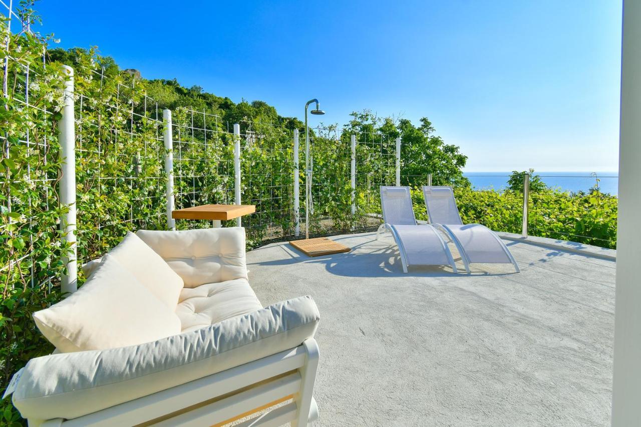 Tenuta C'Est La Vie Forio di Ischia Eksteriør billede