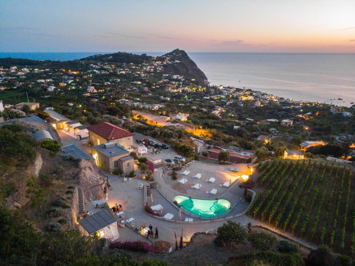 Tenuta C'Est La Vie Forio di Ischia Eksteriør billede