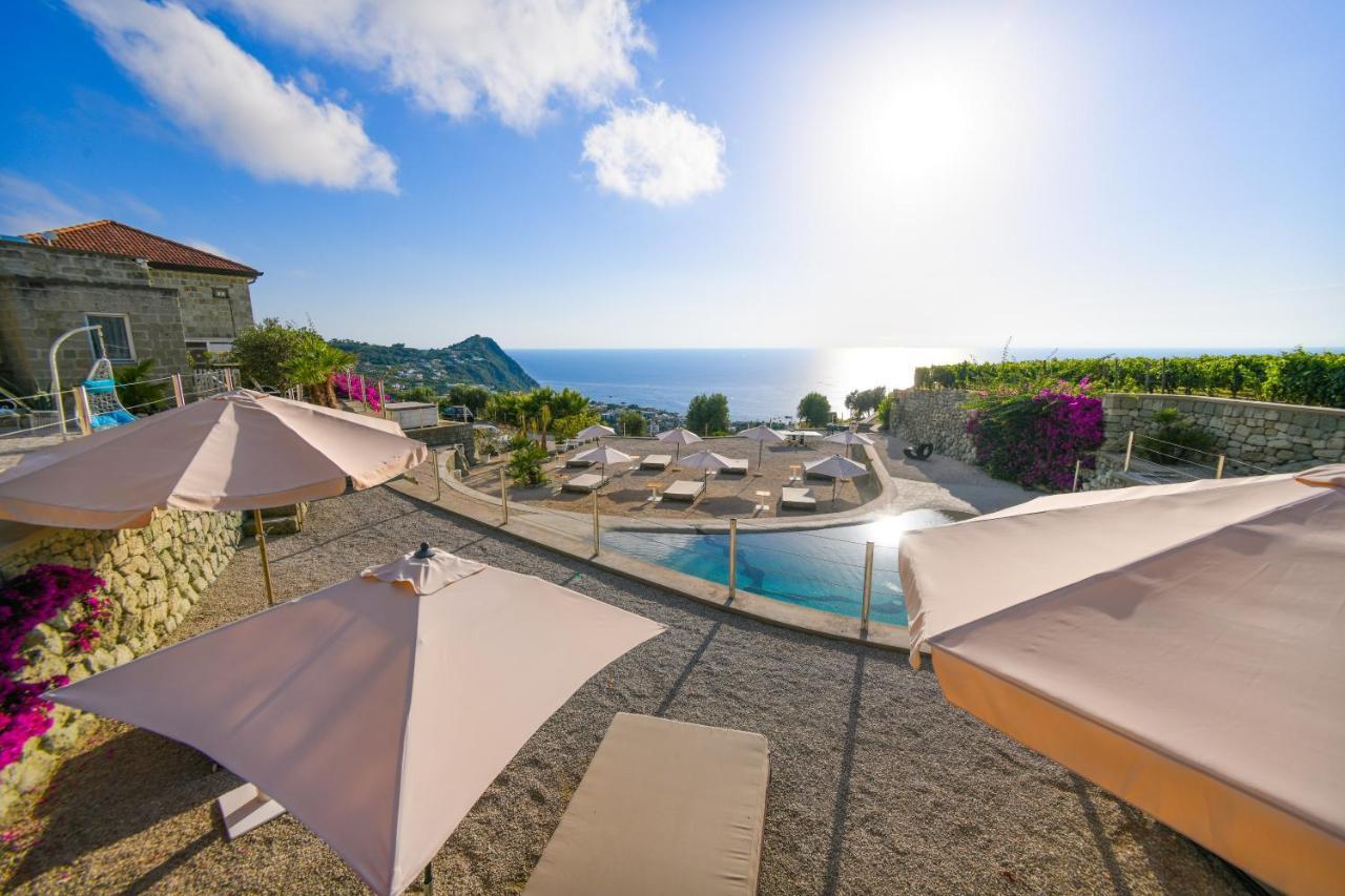 Tenuta C'Est La Vie Forio di Ischia Eksteriør billede