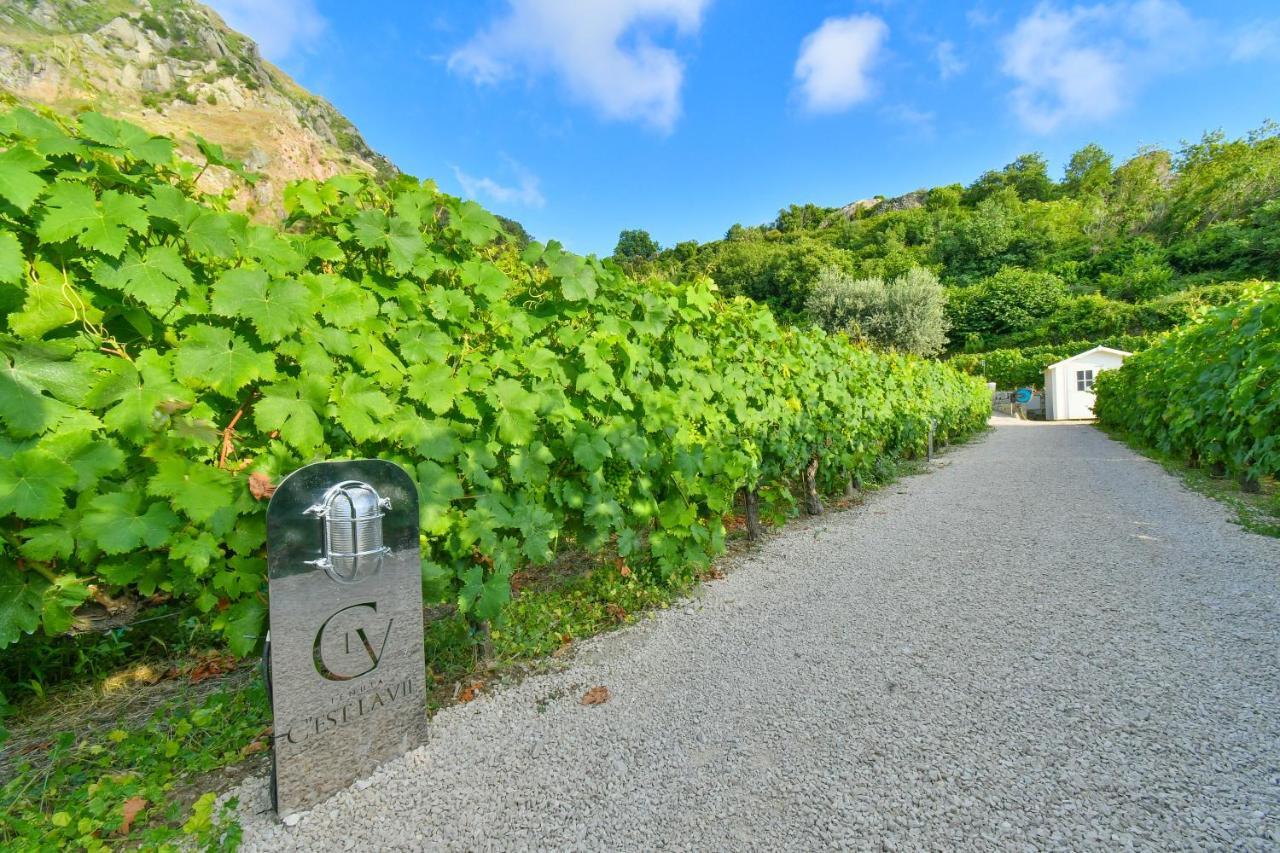 Tenuta C'Est La Vie Forio di Ischia Eksteriør billede