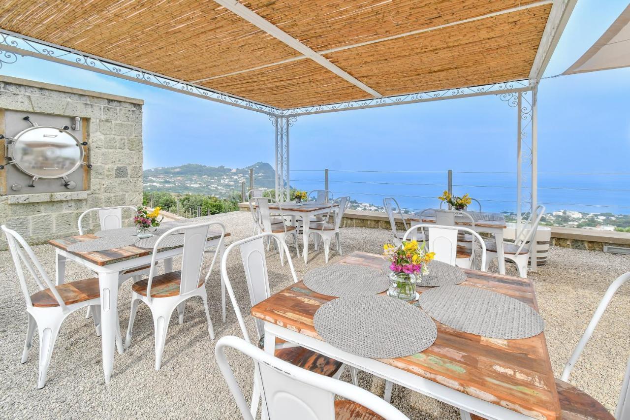 Tenuta C'Est La Vie Forio di Ischia Eksteriør billede