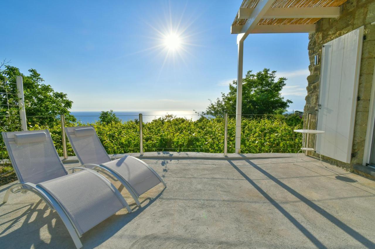 Tenuta C'Est La Vie Forio di Ischia Eksteriør billede